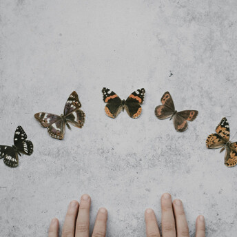 How to cultivate your personal character journey